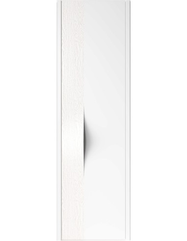 Дверь Manigliona 3000