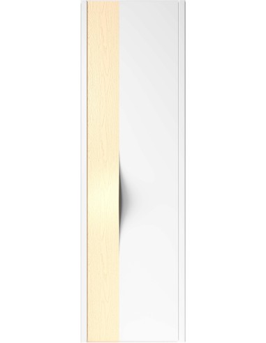 Дверь Manigliona 3000